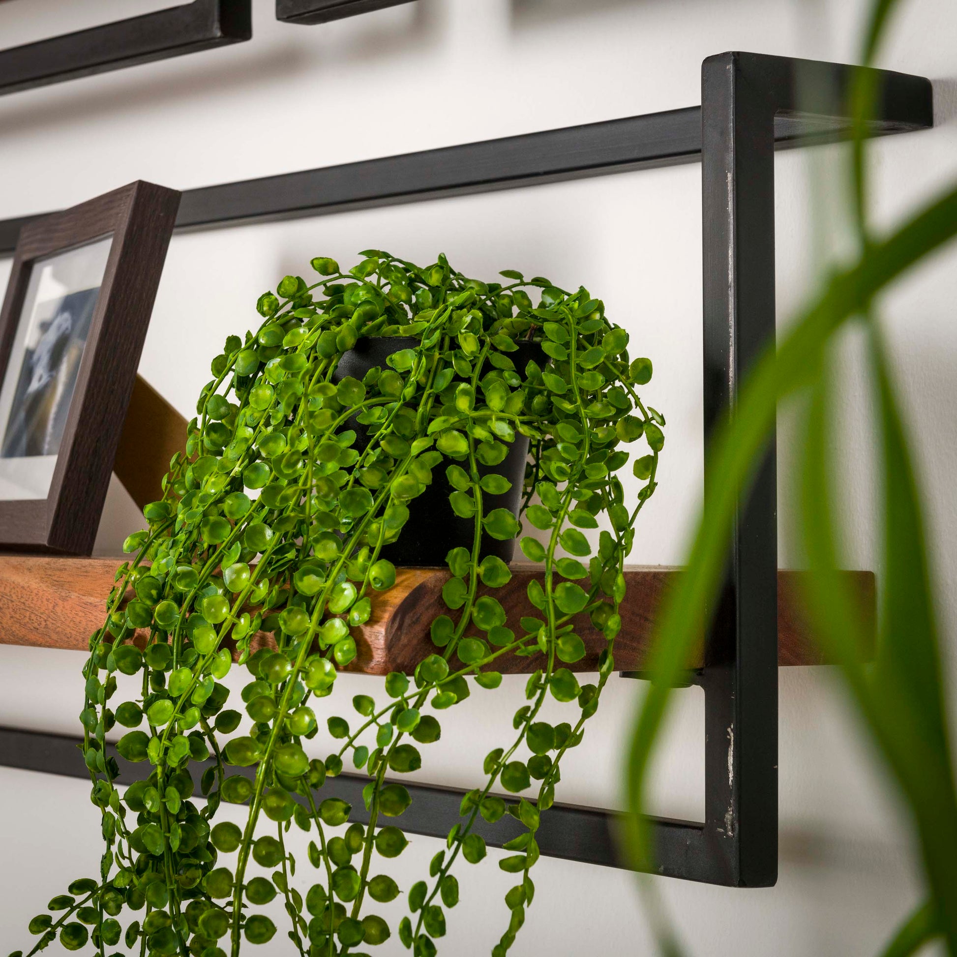 Wandplank Edge Frame 30cm / Massief acacia – afbeelding 7