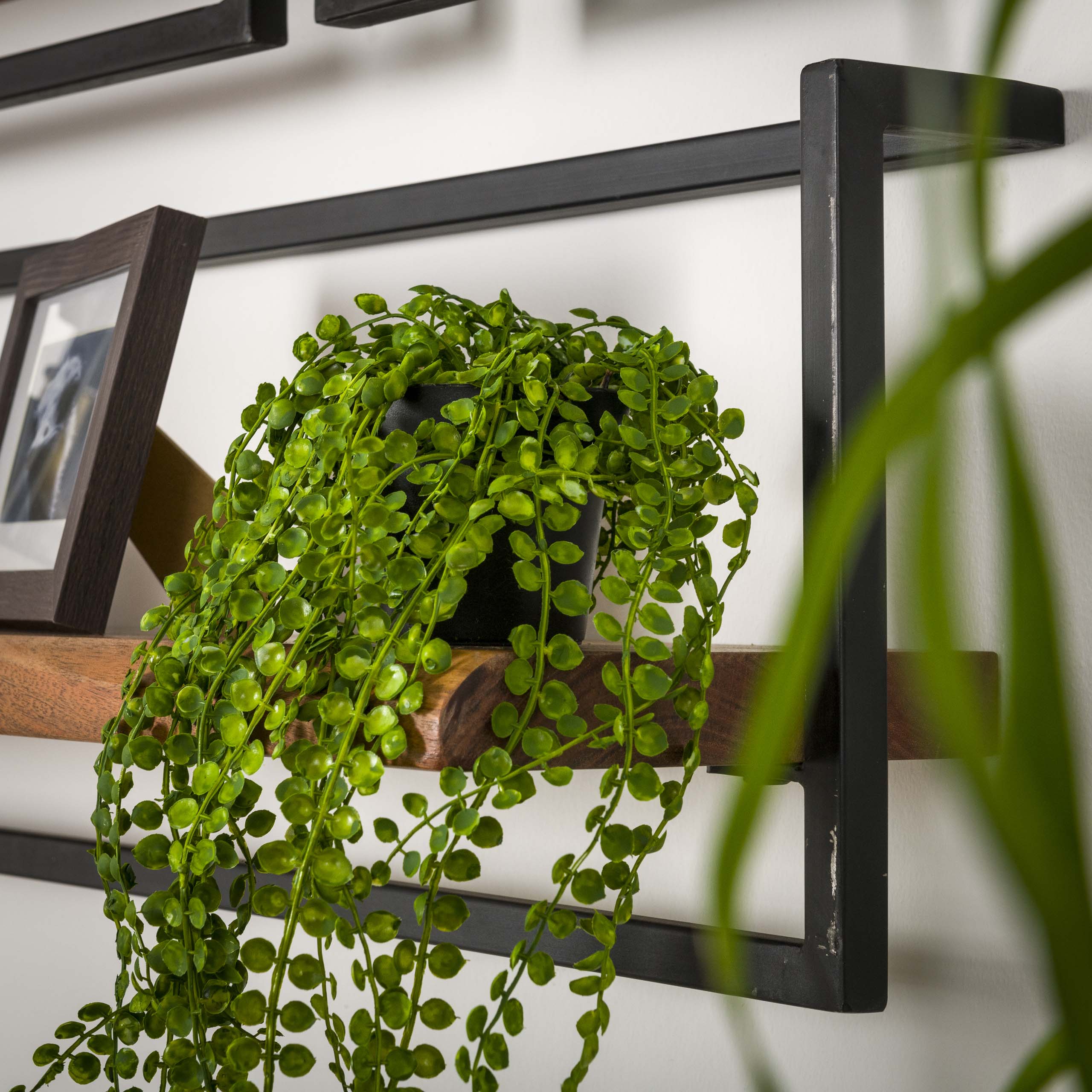 Wandplank Edge Frame 30cm / Massief acacia – afbeelding 7