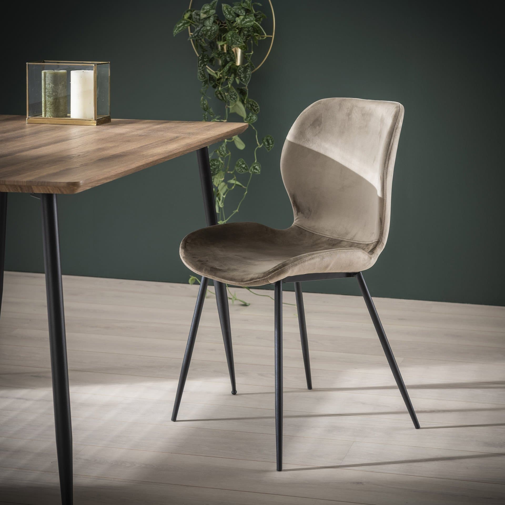 Stoel in velvet - Stoel - Meubelen Robbrecht